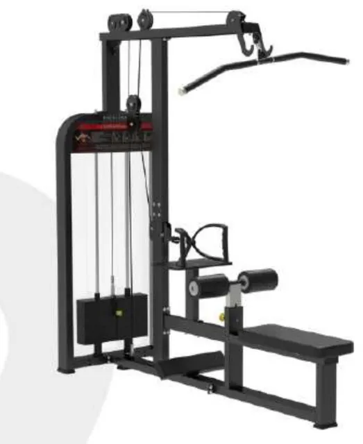 Lat Pulldown & Seated Row
