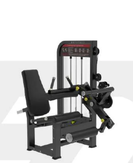 Leg Curl & Leg Extension