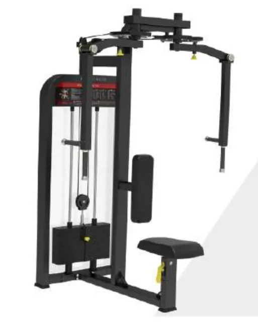 Pec Fly & Rear Delt
