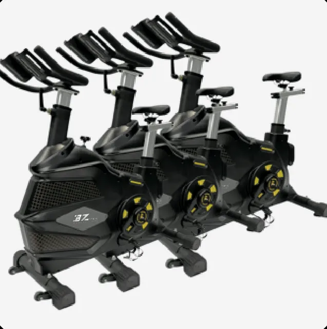 Spin Bike (black)