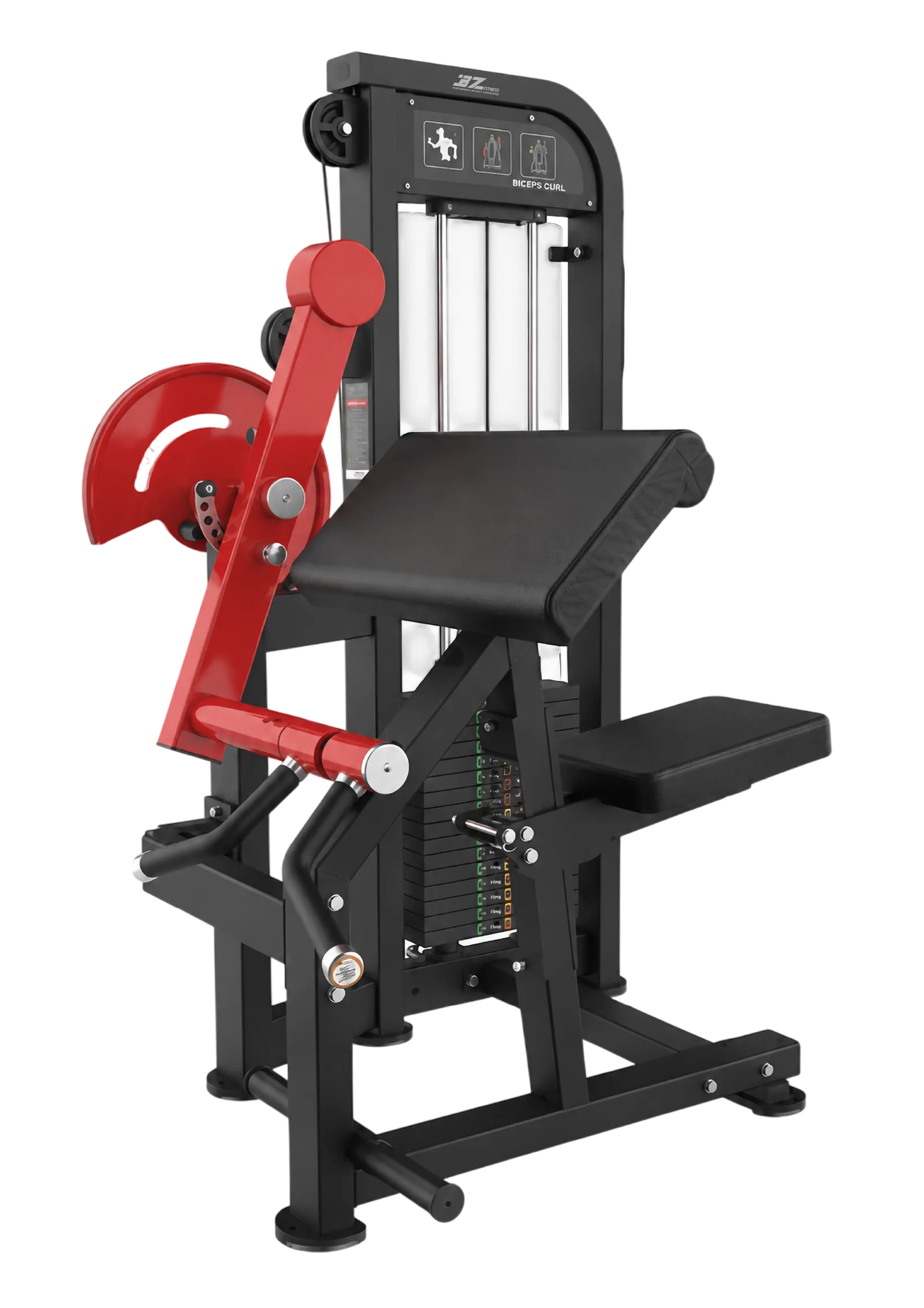 Biceps Curl