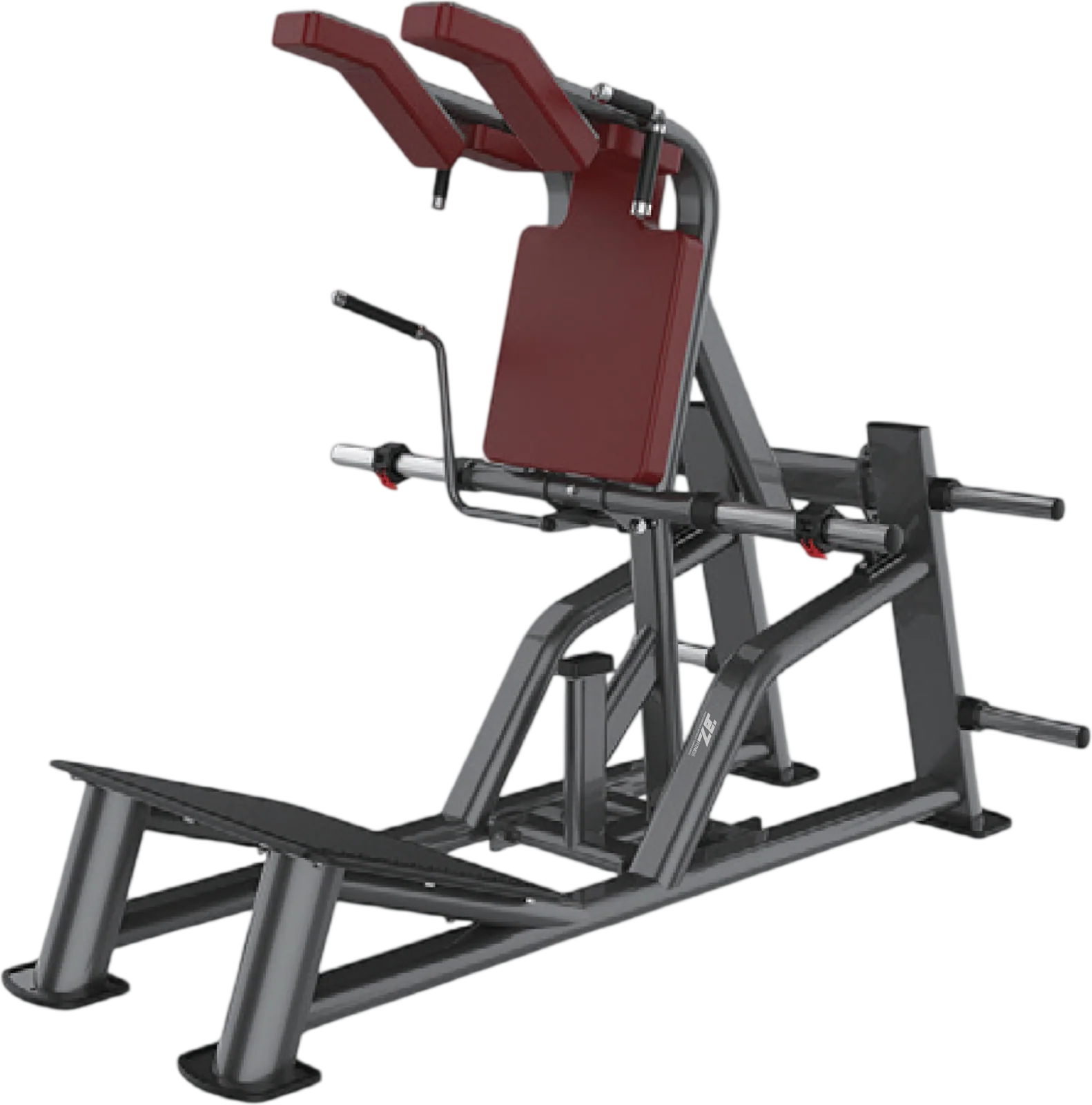 V-Squat Rack