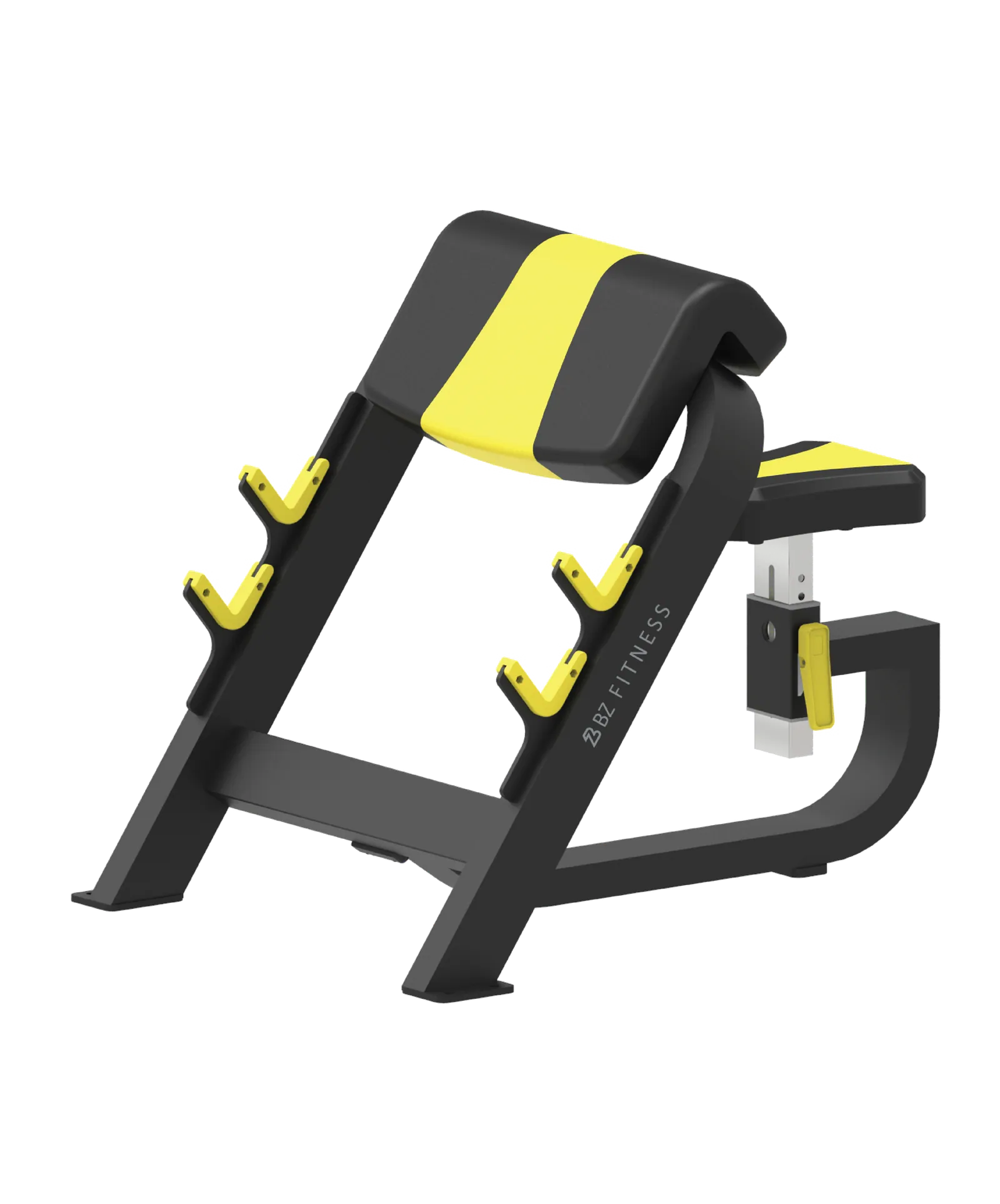 Preacher Curl Bench