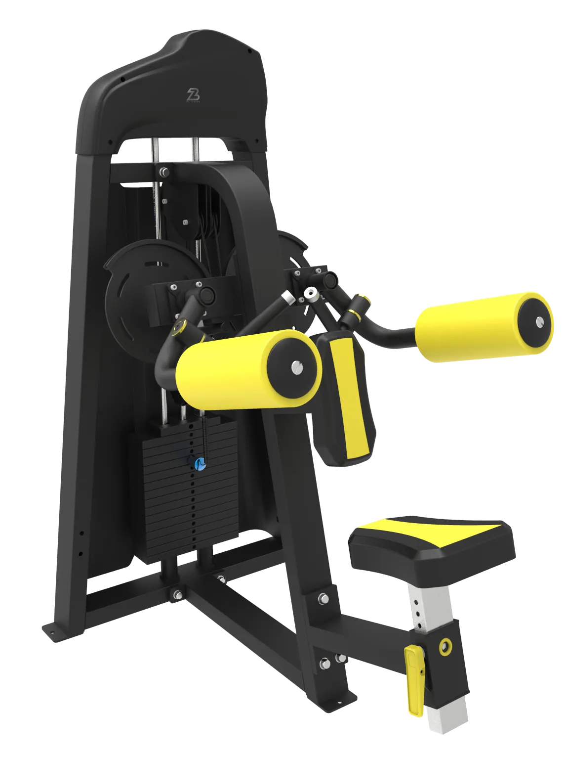 Lateral Raise